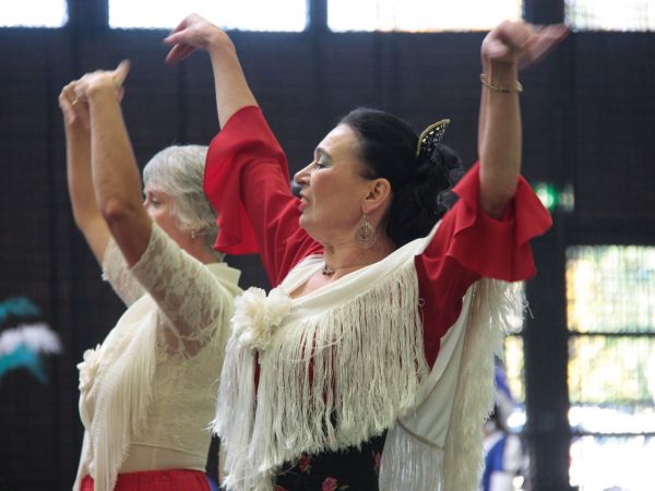 Tanz aller Kulturen 2017